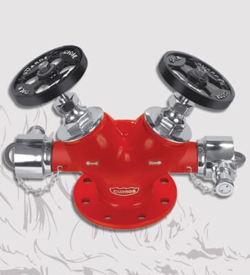 Double Outlet Type Landing Valve